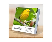 Tf Publishing Paper Goods 2027 Birds Backyard and Beyond Daily Desktop Calendar