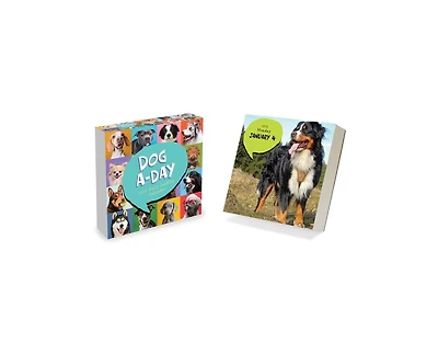 Tf Publishing Paper Goods 2027 Dog A Day Daily Desktop Calendar