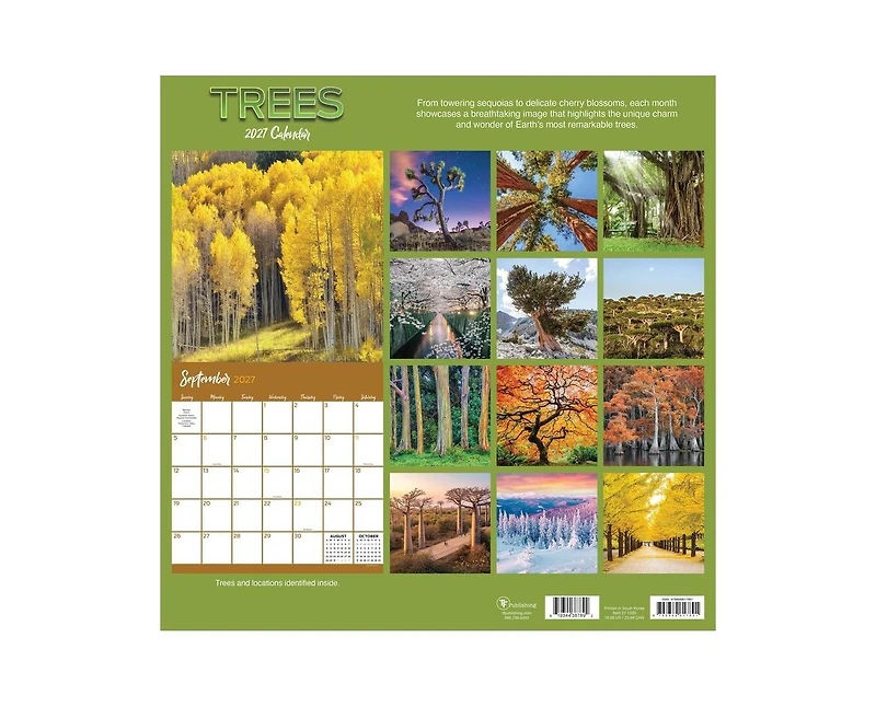 Tf Publishing Paper Goods 2027 Trees Wall Calendar