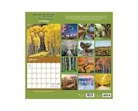 Tf Publishing Paper Goods 2027 Trees Wall Calendar