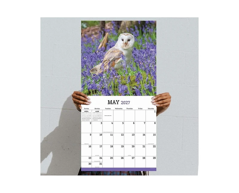 Tf Publishing Paper Goods 2027 Owls Wall Calendar