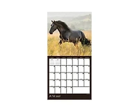Tf Publishing Paper Goods 2027 Horses Mini Calendar