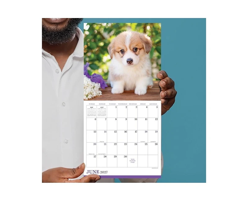 Tf Publishing Paper Goods 2027 Puppies Mini Calendar