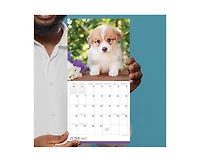 Tf Publishing Paper Goods 2027 Puppies Mini Calendar
