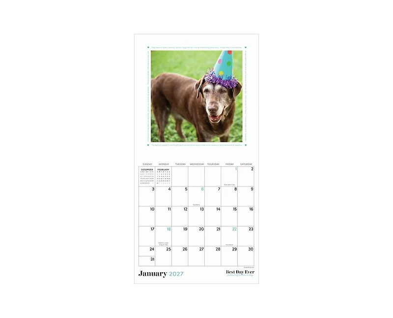 Tf Publishing Paper Goods 2027 Best Day Ever Dogs Mini Calendar