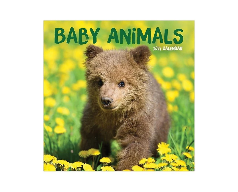 Tf Publishing Paper Goods 2027 Baby Animals Wall Calendar
