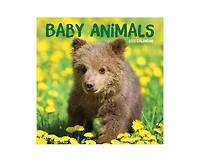 Tf Publishing Paper Goods 2027 Baby Animals Wall Calendar