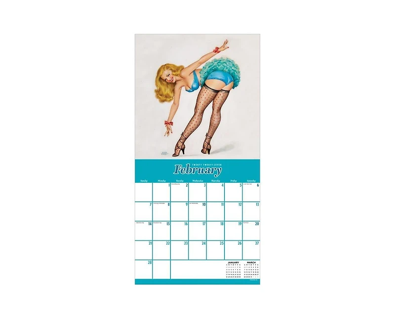 Tf Publishing Paper Goods 2027 PinUps Wall Calendar
