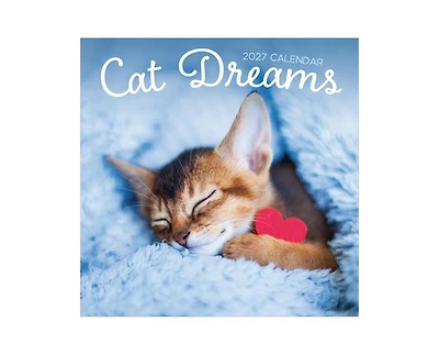 Tf Publishing Paper Goods 2027 Cat Dreams Wall Calendar