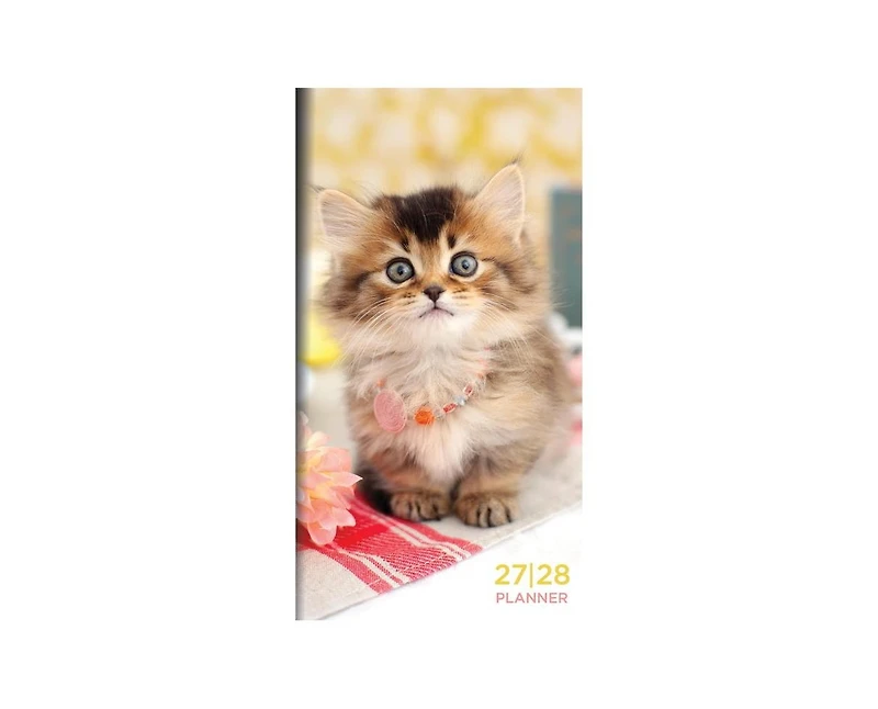 Tf Publishing Paper Goods 2027-2028 Kitten Small Monthly Pocket Planner
