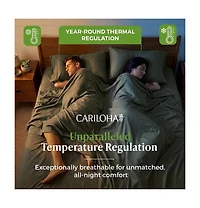Cariloha Retreat 4-Piece Sateen Sheet Set | Oasis Green | Split King | Lyocell Material | Breathable, Corner Straps, Extra soft & Cooling