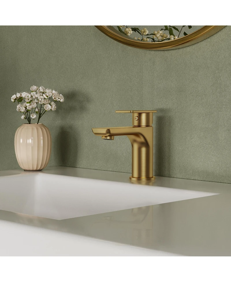 Everstein Bathroom Faucet with Drain Assembly, Single Handle Sink