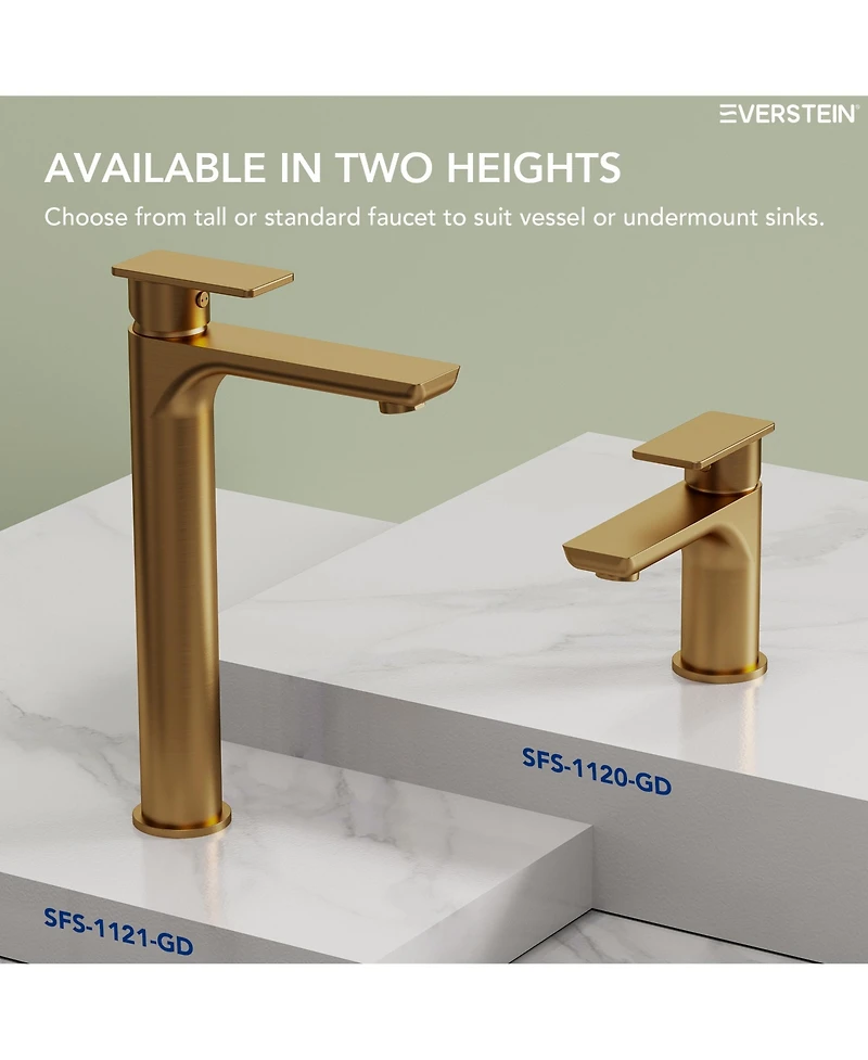 Everstein Bathroom Faucet with Drain Assembly, Single Handle Sink