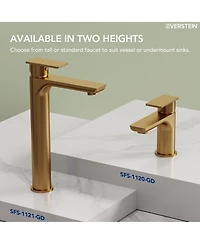 Everstein Bathroom Faucet with Drain Assembly, Single Handle Sink