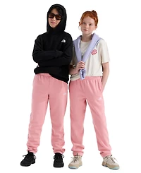 The North Face Boys' and Girls' 7-20 Evolution Simple Dome Pants