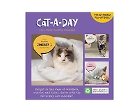 Tf Publishing Paper Goods 2027 Cat A Day Daily Desktop Calendar