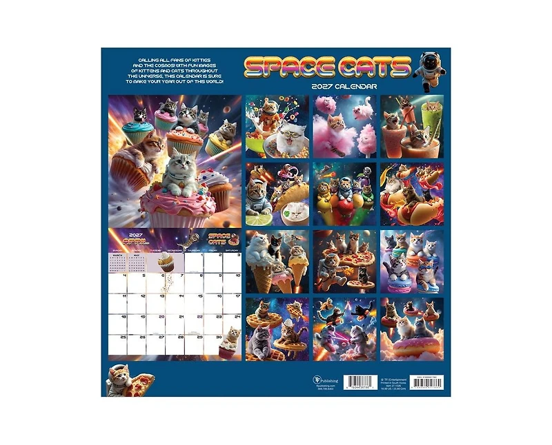 Tf Publishing Paper Goods 2027 Space Cats Wall Calendar