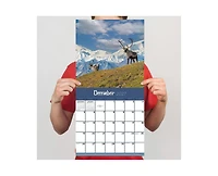 Tf Publishing Paper Goods 2027 Wild Wall Calendar