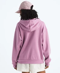 The North Face Women's Evolution Oversized Hoodie Sweatshirt