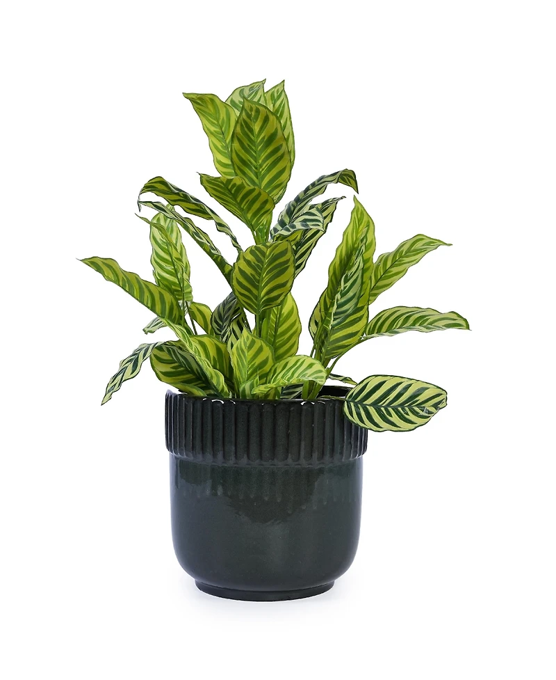 Clihome Handmade Ceramic Planter Set of 3, 15/14/9 Inch Diameter, Ribbed Pattern, for Succulents Indoor/Outdoor Use on Windowsill and Bookshelf