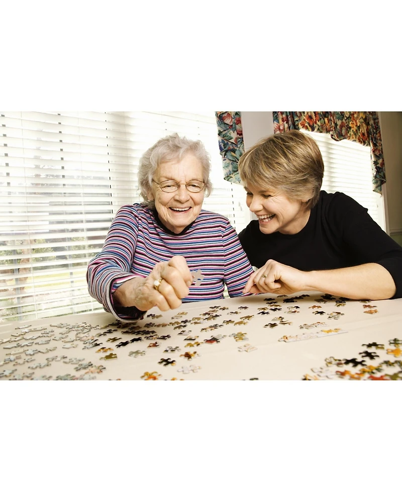 SunsOut Images of Texas 1000 piece Jigsaw Puzzle for Adults Special Shape