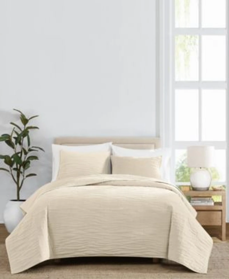 Royal Velvet Wavy Cotton Matte Velvet 3 Piece Quilt Sets