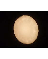 Neewer NS72P Softbox for Aputure