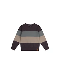 Deux par Toddler Boys (2T - 5T) block Knit Sweater