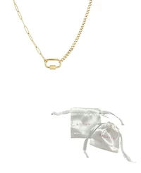 Adornia Tarnish Resistant Gold Carabiner Lock Paperclip Chain Necklace