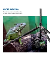 Neewer N55CR Camera Tripod with 26.5lb