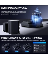 Neewer Nw-F4 Camera Battery and Charging Accessory with 100W, Usb C