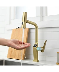 Busdays Brushed Motion Sensor Kitchen Faucet Touchless Led Display Pull Out Sprayer 3 Functions 360 Degree Swivel
