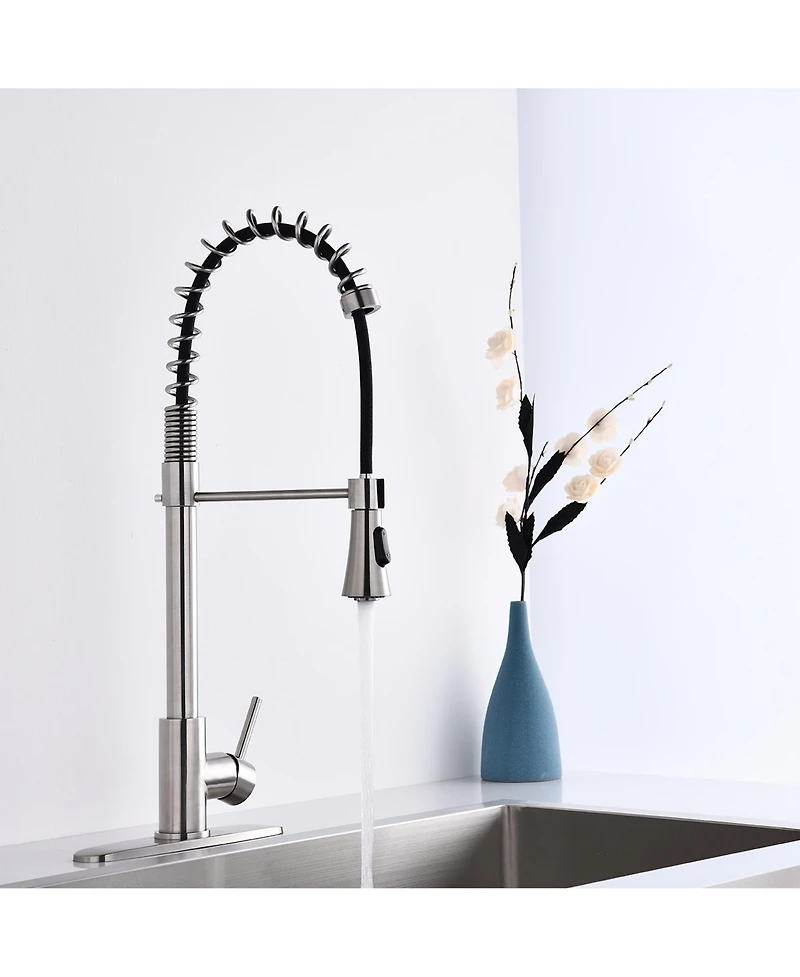 Busdays Brushed Nickel Single Handle Commercial Modern Spring High Arc Kitchen Faucet with Water Filter System Flexible Bendable Design