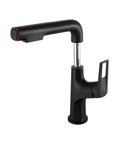 Busdays Single Hole Vessel Bathroom Faucet Pull Down with Lift Spout Dual Spray Modes for Sink