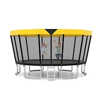 Ruie 16 ft Astm Compliant Recreational Trampoline with Safety Enclosure and Ladder