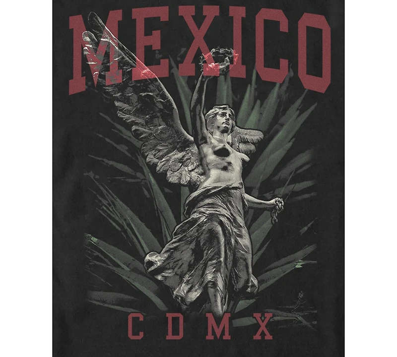 Fifth Sun Men's Mexico City Graphic T-Shirt