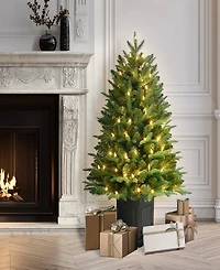 Puleo International 40" Pre-Lit Fraser Fir Potted Tree