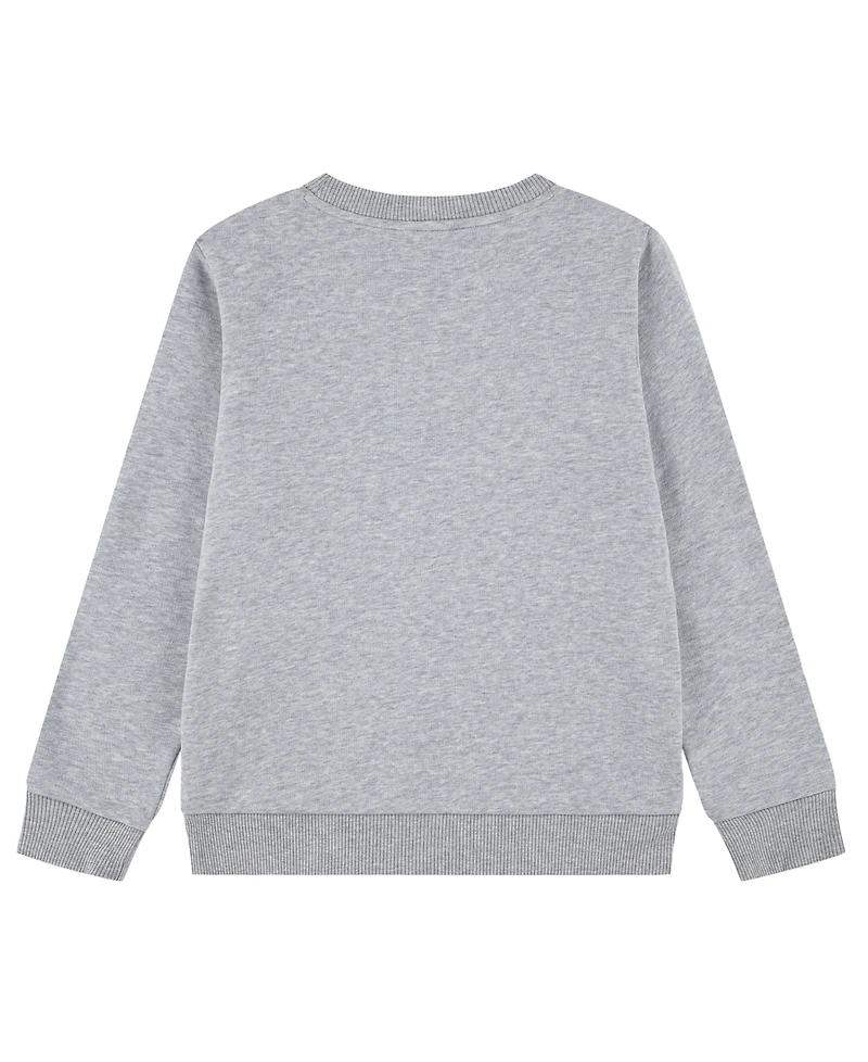 Lacoste Boys' 10-16 Long-Sleeve Bold Crocodile Sweatshirt