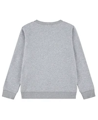 Lacoste Boys' 10-16 Long-Sleeve Bold Crocodile Sweatshirt