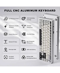 Lisen AL66 Wireless Mechanical Keyboard Compatible With Windows And Mac