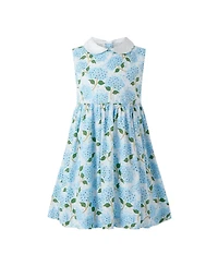 Rachel Riley Toddler Girls 2-10 Hydrangea Peter Pan Collar Dress