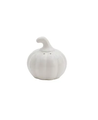 Haven Harvest Pumpkin 2-Piece Salt & Pepper Shakers Set