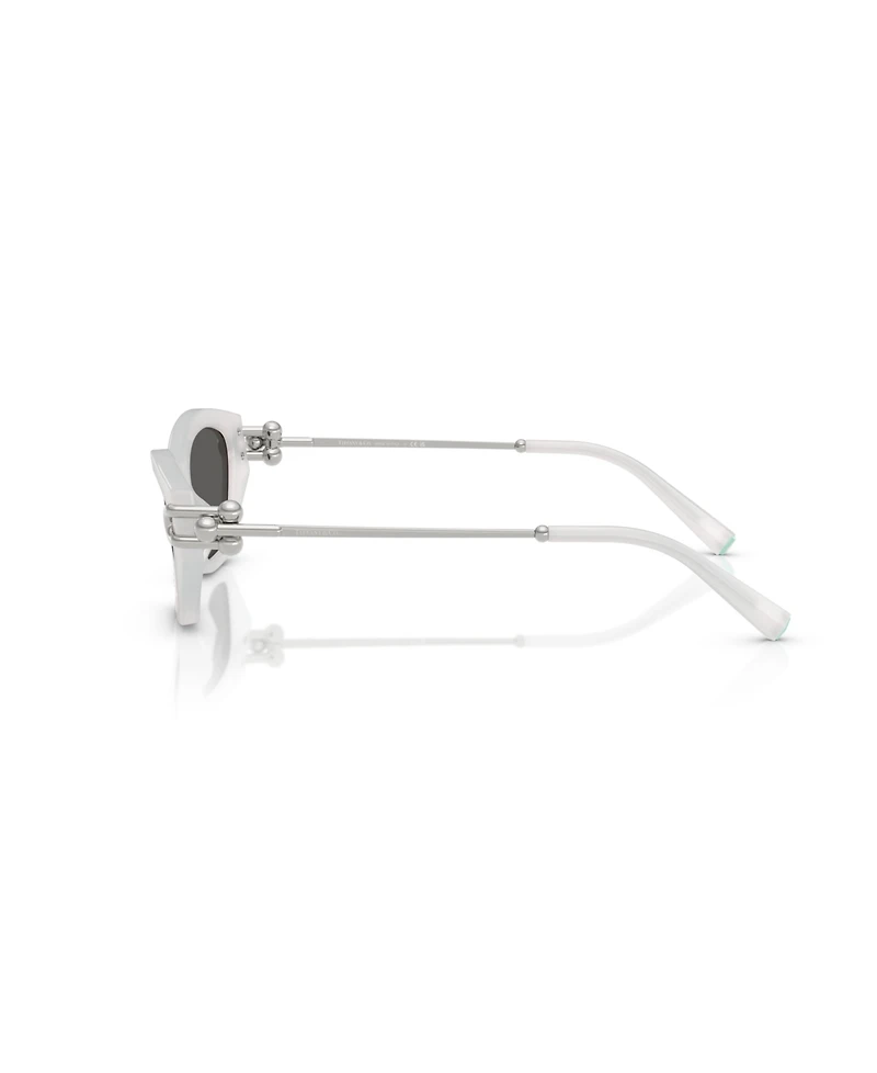Tiffany & Co. Women's Sunglasses, TF4231U