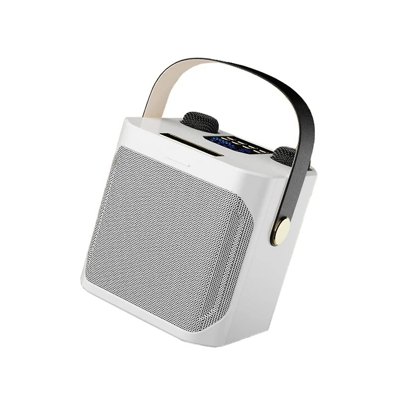 Artudatech 10W Bluetooth 5.3 Dual-Wireless Microphone Karaoke Speaker