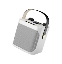 Artudatech 10W Bluetooth 5.3 Dual-Wireless Microphone Karaoke Speaker