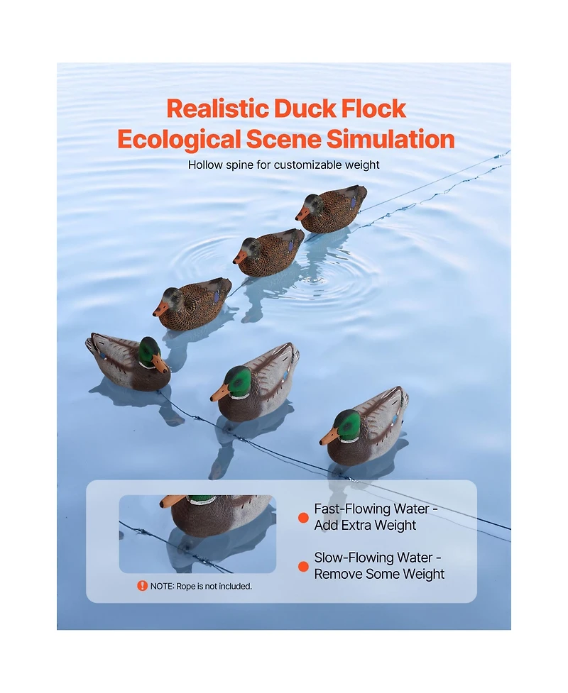 Sevorley Floating Mallard Duck Decoys, Realistic 6-Pack for Hunting, Ponds and Lakes