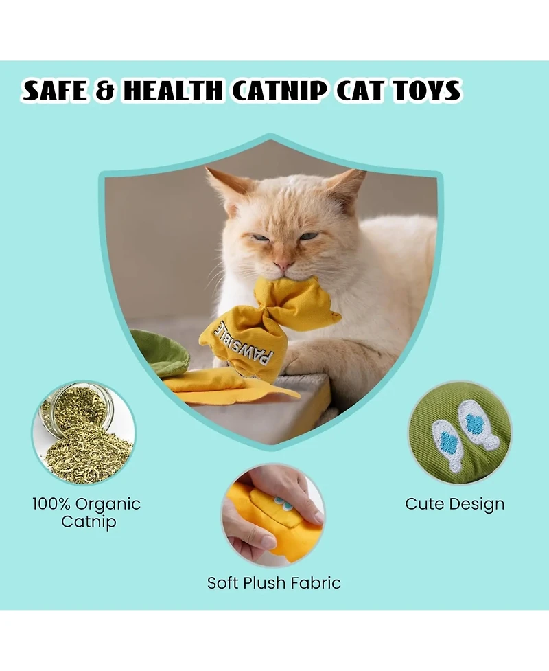 Pawsible 3 Pack Pasta Cat Toy Set Filled with Premium Catnip, Natural Stimulation and Teething Toy for Kittens and Cats
