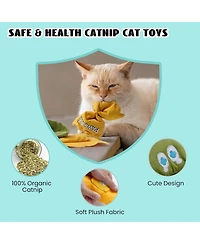 Pawsible 3 Pack Pasta Cat Toy Set Filled with Premium Catnip, Natural Stimulation and Teething Toy for Kittens and Cats