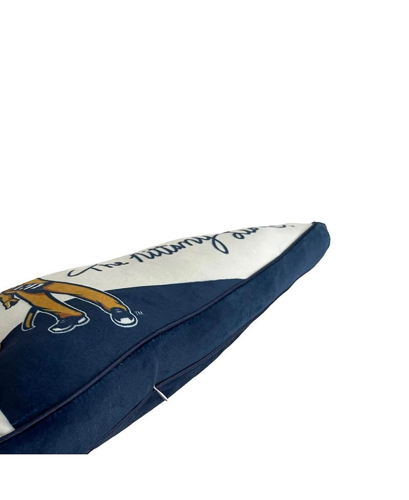 Pegasus Penn State Nittany Lions Half Stripe Pennant Pillow