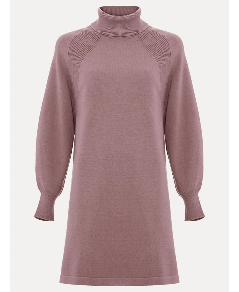 Phase Eight Women's Ellie Jumper Dress